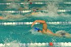 Swimming vs Bentley  Wheaton College Swimming & Diving vs Bentley College. - Photo by Keith Nordstrom : Wheaton, Swimming & Diving